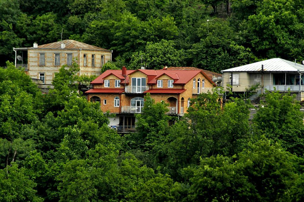 Zandarashvili Guest House Signagi Exterior foto