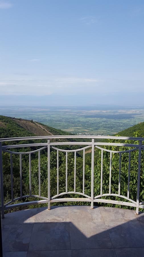 Zandarashvili Guest House Signagi Exterior foto